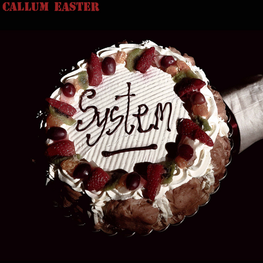 Callum Easter - System vinyl