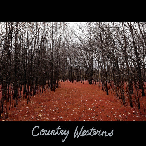 Country Westerns vinyl