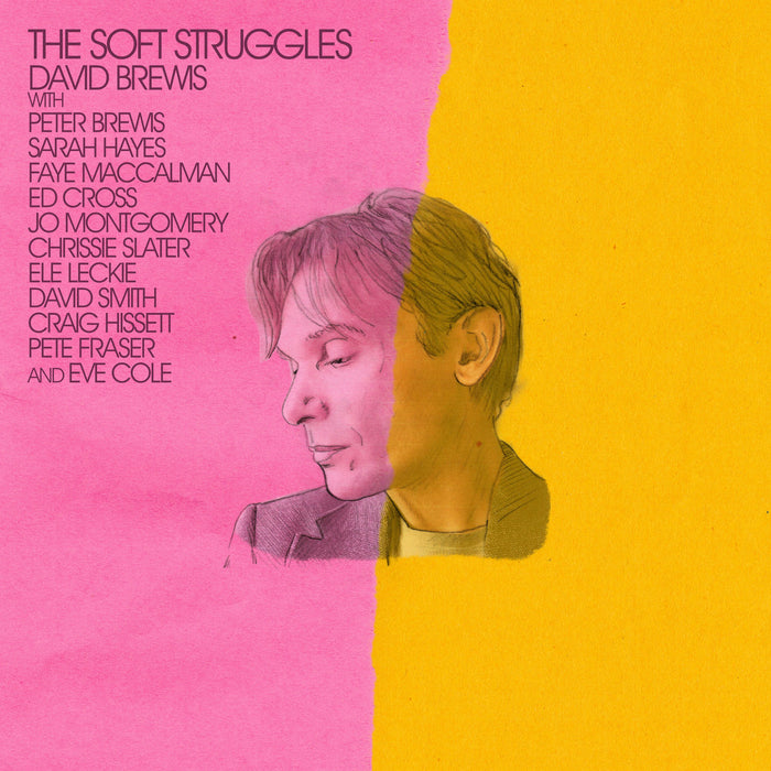 David Brewis - The Soft Struggles vinyl - Record Culture