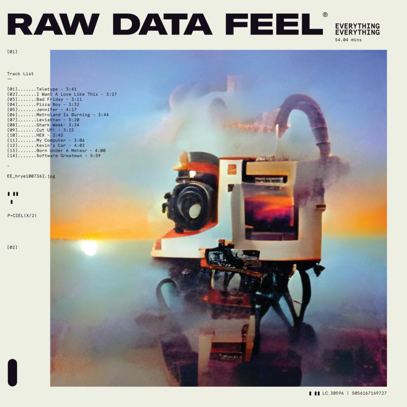 Everything Everything - Raw Data Feel vinyl - Record Culture