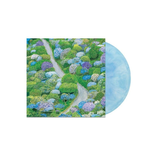 Fiddlehead Between The Richness blue swirl vinyl