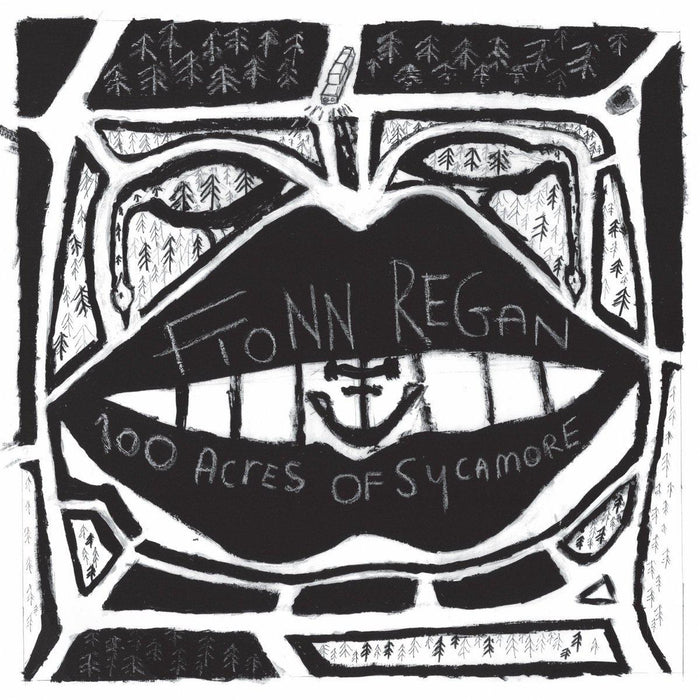 Fionn Regan - 100 Acres Of Sycamore (10th Anniversary Reissue) vinyl