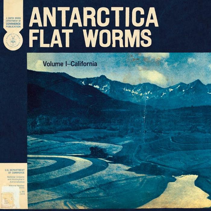 Flat Worms Antarctica vinyl