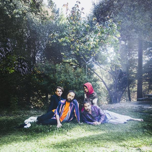 Big Thief U.F.O.F vinyl