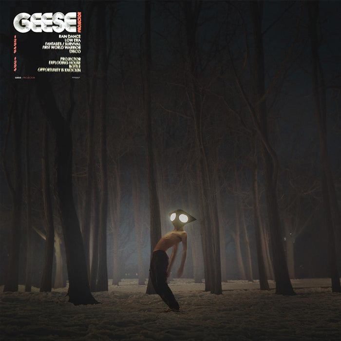 Geese - Projector vinyl