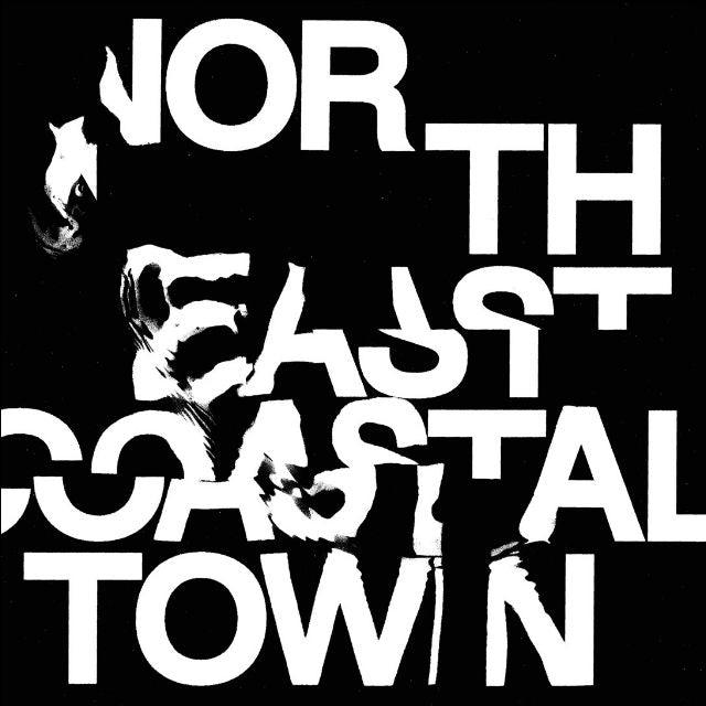 LIFE - North East Coastal Town vinyl - Record Culture