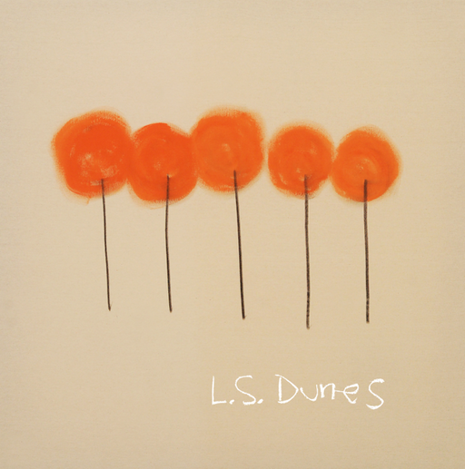 L.S. Dunes - Past Lives vinyl - Record Culture