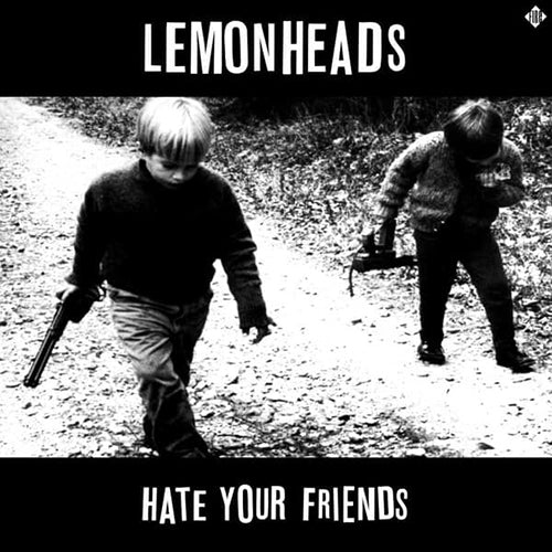 Lemonheads - Hate Your Friends vinyl - Record Culture