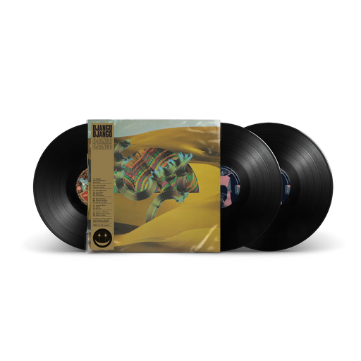 Django Django 10th Anniversary vinyl - Record Culture
