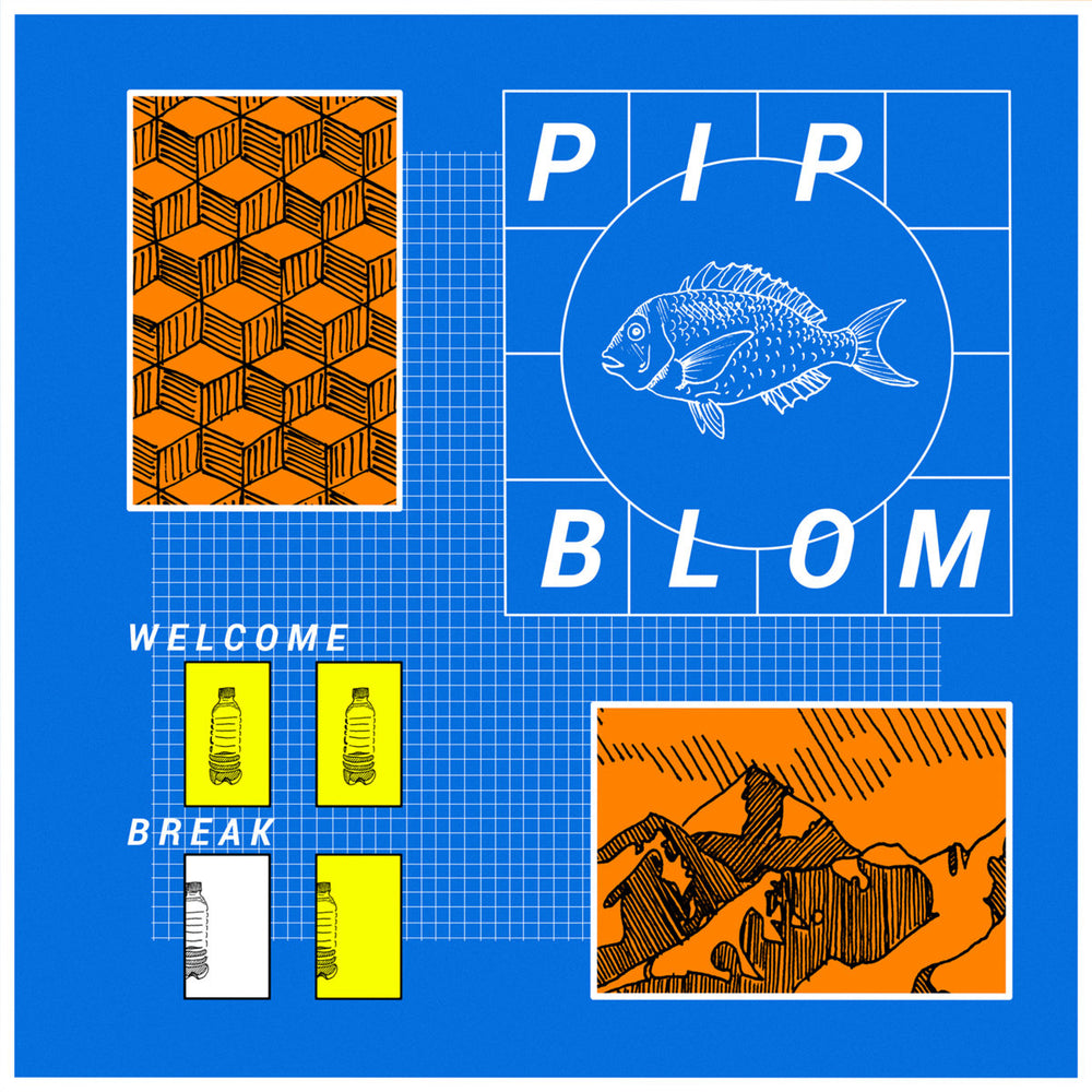 Pip Blom - Welcome Break vinyl - Record Culture