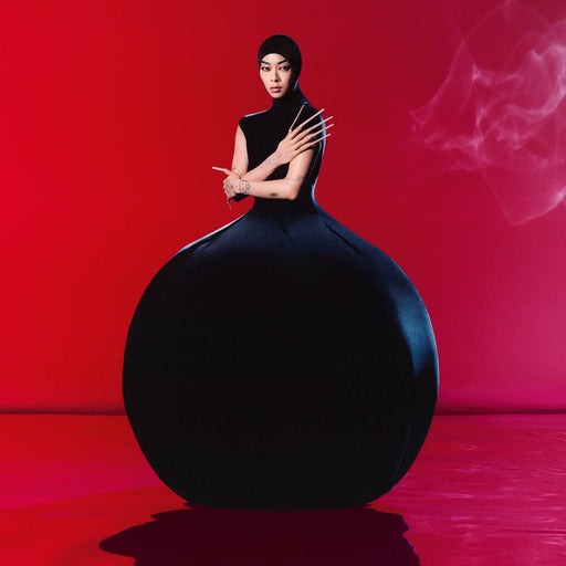 Rina Sawayama - Hold The Girl vinyl - Record Culture