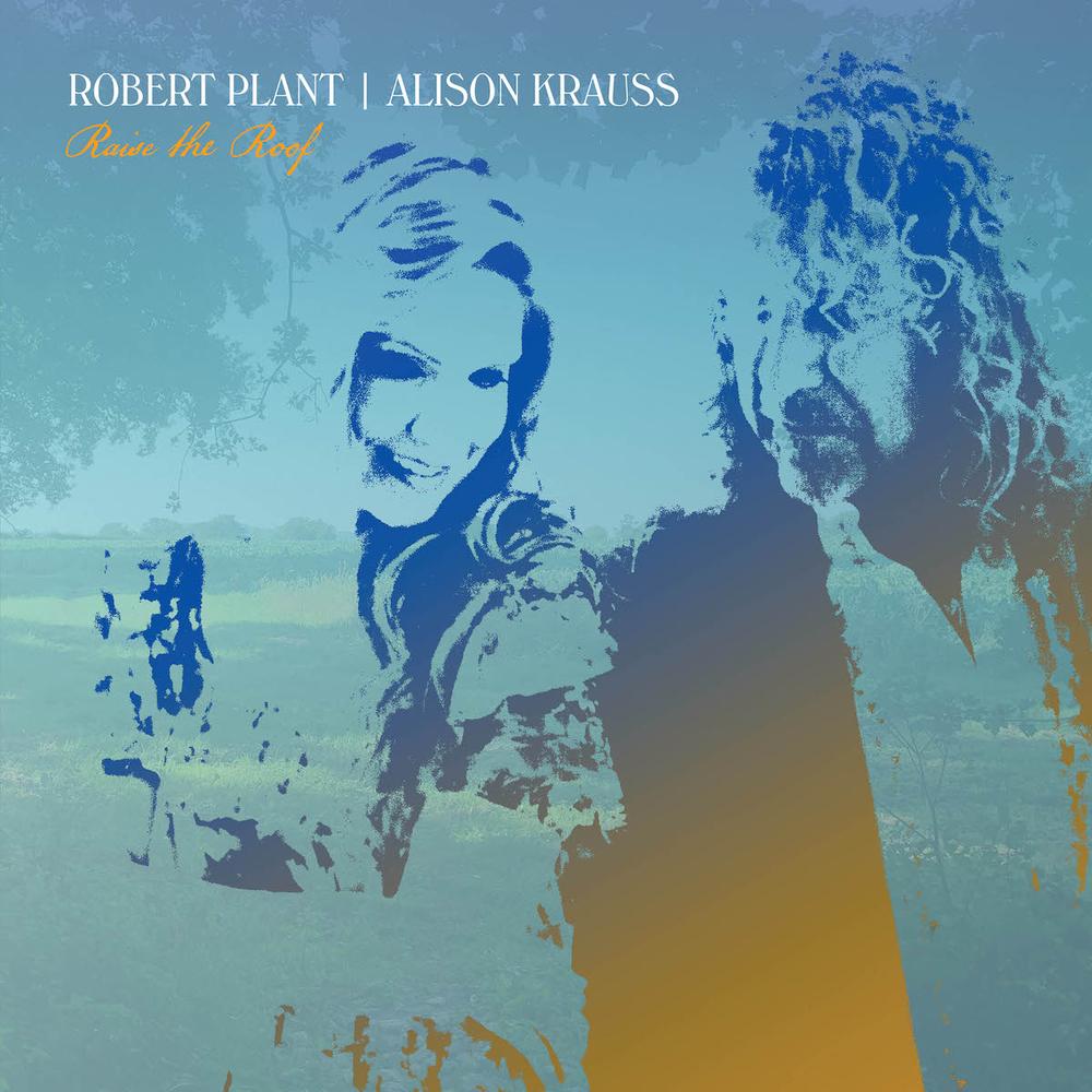 Robert Plant & Alison Krauss - Raise the Roof vinyl