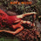 Roxy Music - Stranded (Half Speed Master Reissue) Vinyl - Record Culture