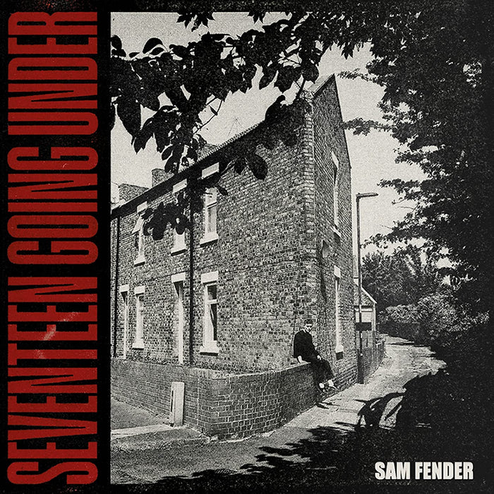 Sam Fender - Seventeen Going Under vinyl - Record Culture