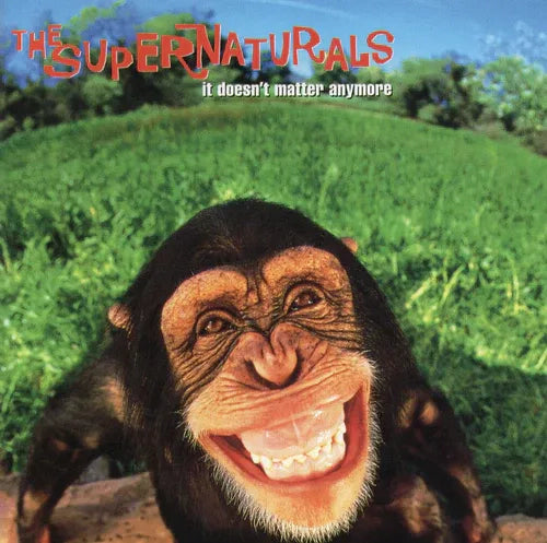 The Supernaturals - It Doesn't Matter Anymore Vinyl - Record Culture