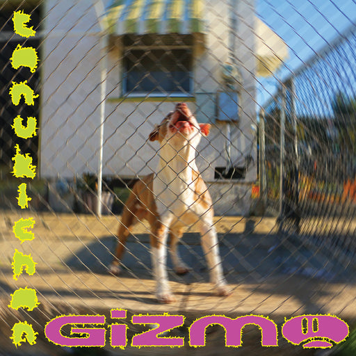 Tanukichan - Gizmo vinyl - Record Culture