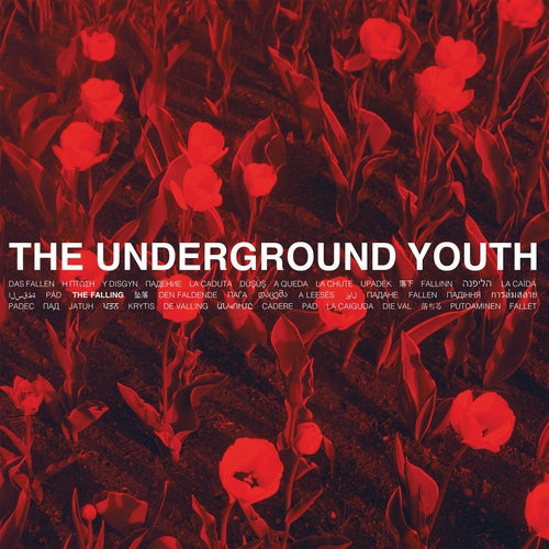 The Underground Youth The Fallen vinyl