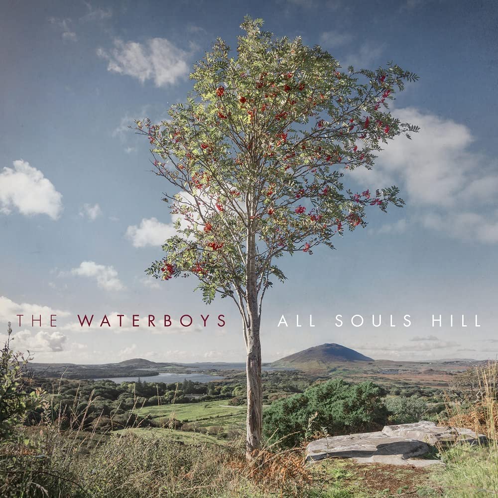 The Waterboys - All Souls Hill vinyl - Record Culture