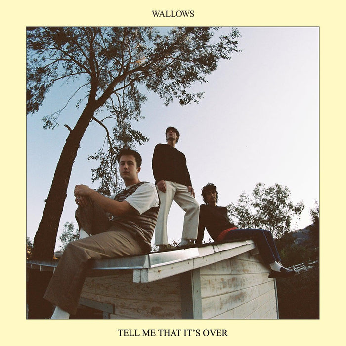 Wallows - Tell Me That It's Over vinyl - Record Culture