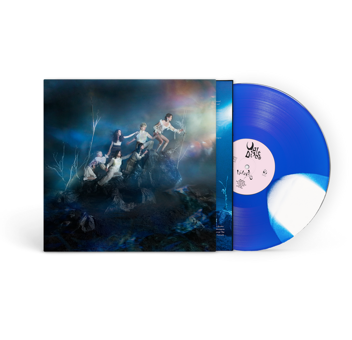 Walt Disco - The Unlearning vinyl - Record Culture