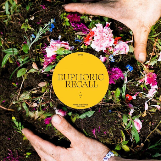 Braids - Euphoric Recall vinyl - Record Culture