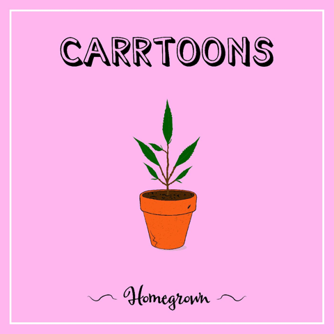 Carrtoons - Homegrown vinyl - Record Culture