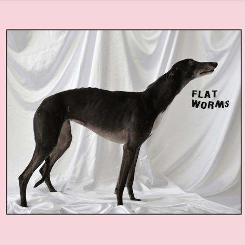 Flat Worms - Flat Worms - Records - Record Culture